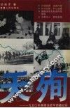 天殉  1950年英雄连进军西藏纪实 封面