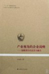 产业视角的企业战略  战略理论的反思与融合 封面