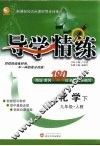 导学精练  化学  九年级  下  人教 封面
