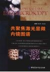 共聚焦激光显微内镜图谱 封面