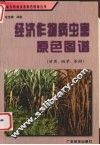 经济作物病虫害原色图谱  甘蔗、烟草、茶树 封面