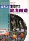 瓜类蔬菜病虫害诊治图谱 封面