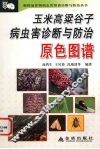 玉米高粱谷子病虫害诊断与防治原色图谱 封面