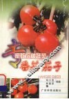 番茄  茄子 封面