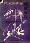 风流缪斯的蝴蝶效应  新诗潮审美史论 封面