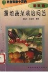 露地蔬菜栽培问答 封面