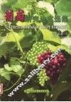 葡萄研究论文选集 封面