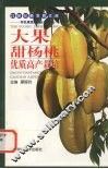 大果甜杨桃优质高产栽培 封面
