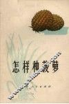 怎样种菠萝 封面