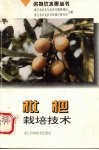 枇杷栽培技术 封面