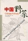 中国野菜 封面
