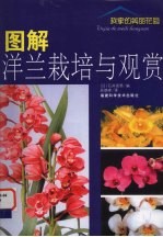 图解洋兰栽培与观赏 封面