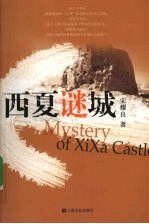西夏谜城 封面