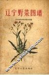 辽宁野菜图谱 封面