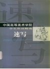 中国高等美术学院学生作品精选  速写 封面