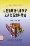 大型循环流化床锅炉及其技术 封面