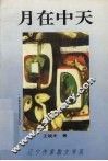 月在中天 封面