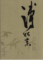 溥松窗书画集 封面