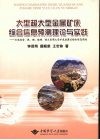 大型超大型金属矿床综合信息预测理论与实践  云南省金、银、铜、铅锌、锡大型超大型矿床密集区综合信息预测 封面