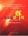 生命线的辉煌  纪念煤炭工业改革开放30周年暨中国煤炭职工思想政治工作研究会成立25周年征文优秀作品汇编 封面