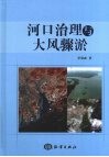 河口治理与大风骤淤 封面