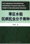 寒区水稻抗病抗虫分子育种 封面