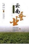 云南蚕业 封面
