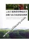 云南主要热带作物病虫害诊断与综合防治原色图谱 封面
