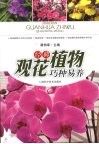 经典观花植物巧种易养 封面