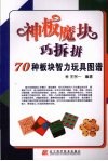 神板魔块巧拆拼  70种板块智力玩具图谱 封面