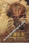 中国化石 封面