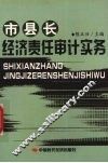 市县长经济责任审计实务 封面