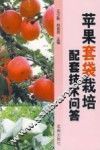 苹果套袋栽培配套技术问答 封面