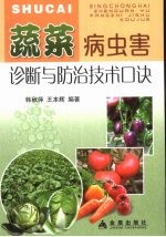 蔬菜病虫害诊断与防治技术口诀 封面