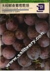 大粒鲜食葡萄栽培 封面