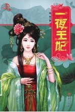 一夜王妃 封面