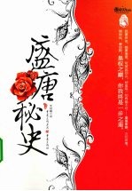 盛唐秘史 封面