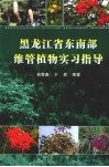 黑龙江省东南部维管植物实习指导 封面