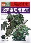 木薯蓖麻种植及养蚕实用技术 封面