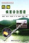 鳗鲡病害诊治图谱 封面