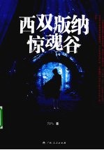 西双版纳惊魂谷 封面
