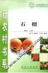 石榴 封面