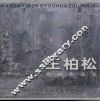 王柏松油画作品集 封面