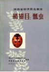 陕西省经济昆虫图志  鞘翅目：瓢虫 封面