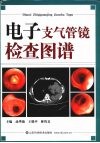 电子支气管镜检查图谱 封面