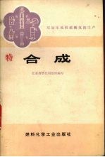 双加压流程碳酸氢氨生产  合成 封面