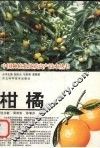 柑橘 封面