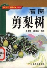 看图剪梨树 封面