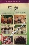 平菇 封面