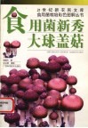 食用菌新秀-大球盖菇 封面